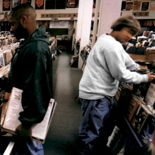 Endtroducing