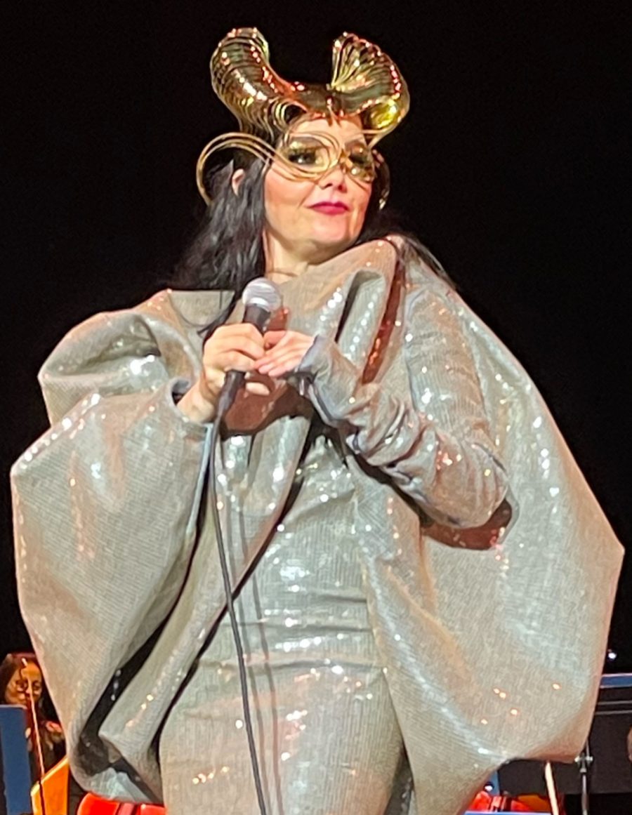 Foto de Björk Guðmundsdóttir