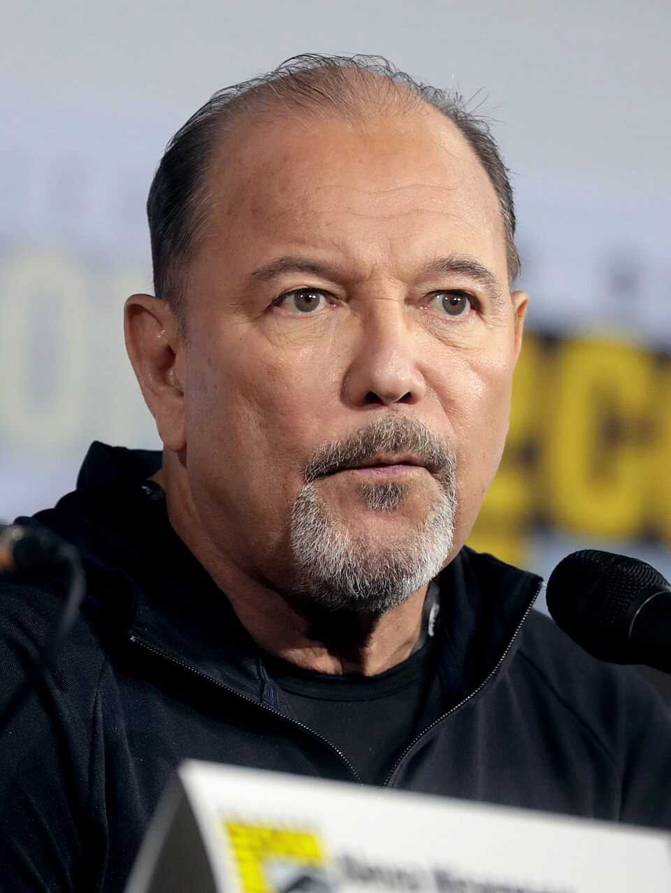 Rubén Blades Bellido de Luna