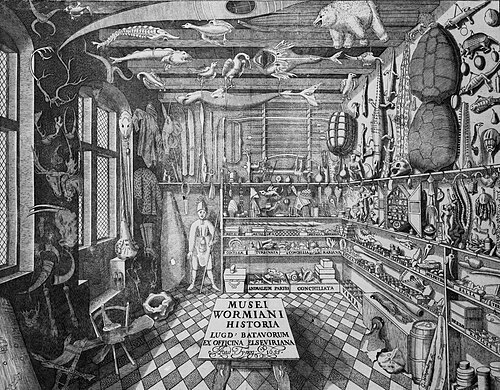 Gabinete de Curiosidades