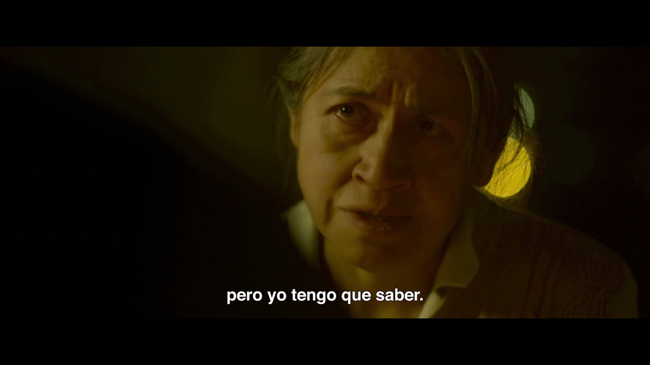 Carátula de Sin señas particulares