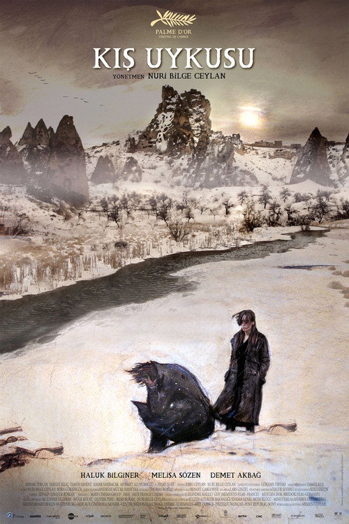 Sueño de invierno (Winter Sleep)