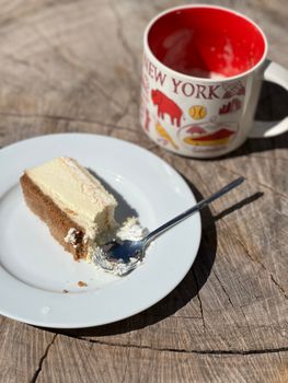 Cheesecake New York style