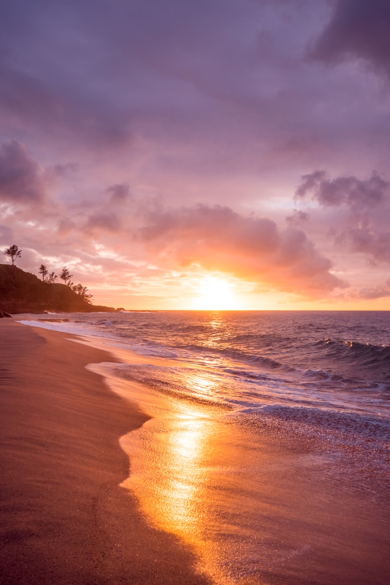 Jamaica